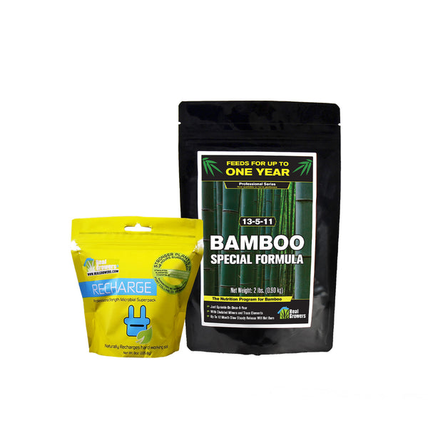 12 Month 2 Young Plant Bamboo Care Bundle - SHIPS FREE