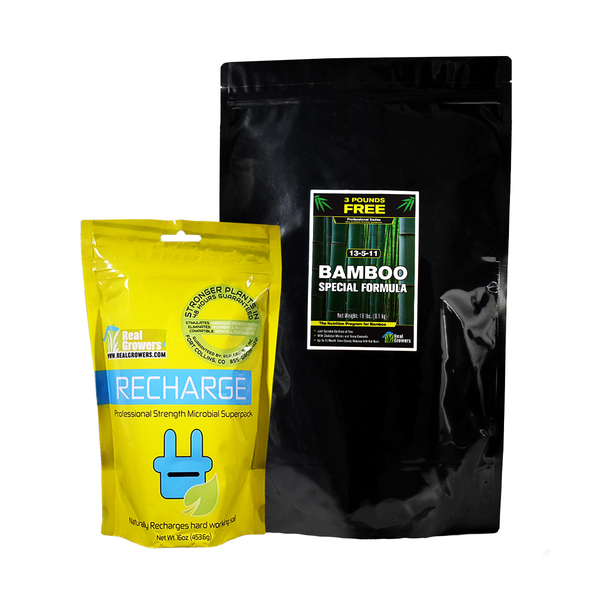 Bamboo Care Bundle - Large