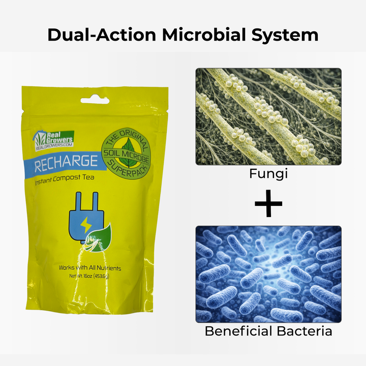 Recharge Soil Conditioner for Bamboo