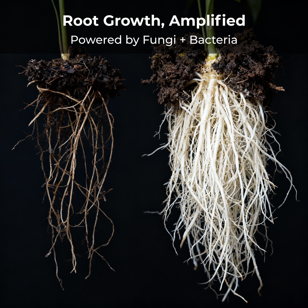 Recharge Soil Conditioner for Bamboo