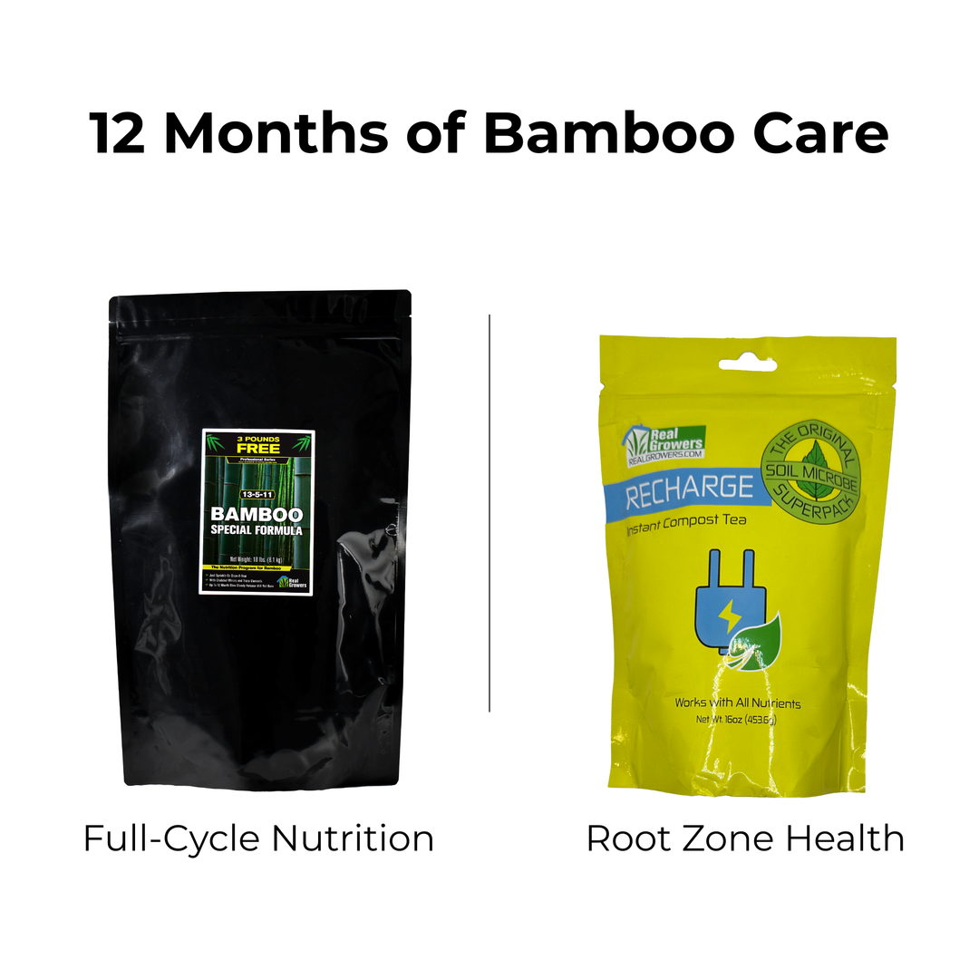 lucky bamboo nutrients Bamboo Care Bundle