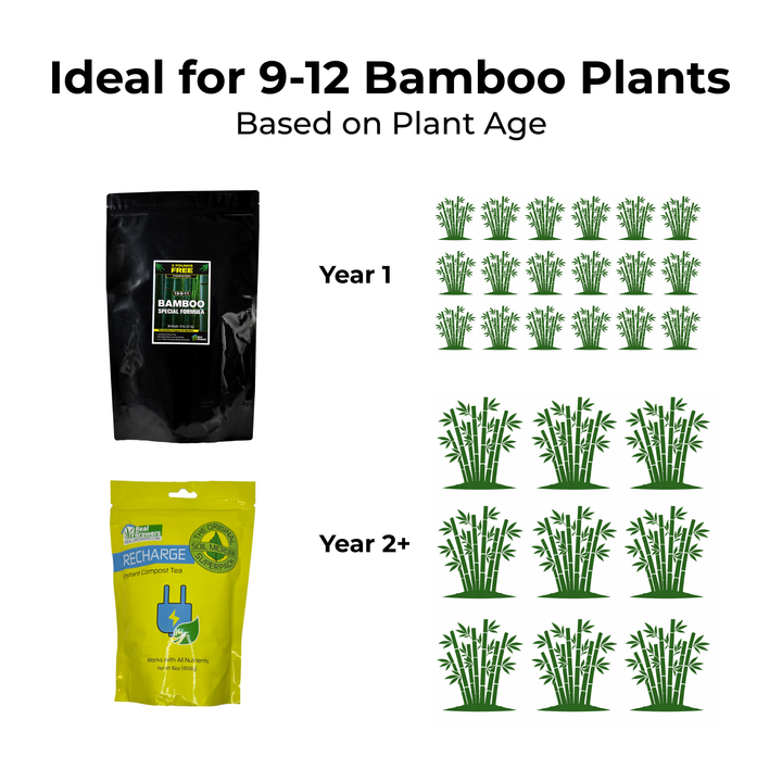 Bamboo Care Bundle - Large
