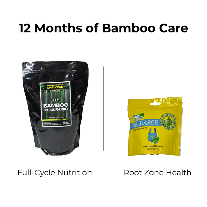 Bamboo Care Bundle - Medium