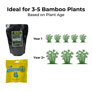 Bamboo Care Bundle - Medium
