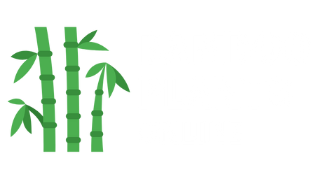 Bamboo Plants Online