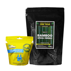 12 Month 2 Adult Plant Bamboo Care Bundle - SHIPS FREE